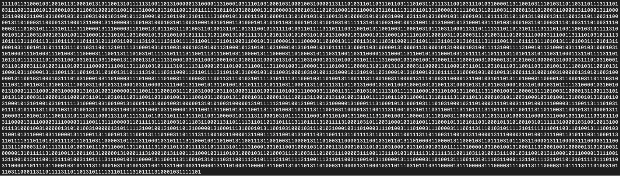 Figure 6: Encoded Data