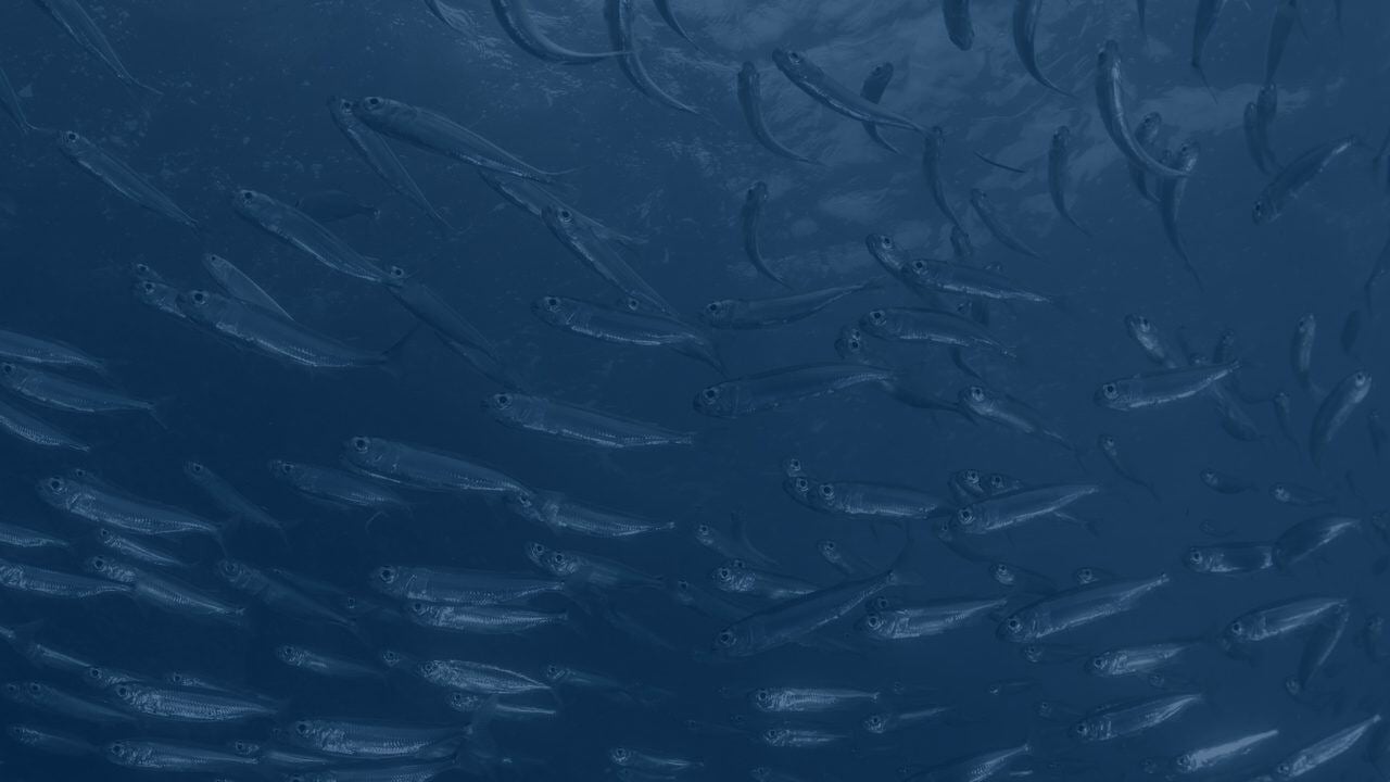 Financially Motivated Mobile Scamware Exceeds 100M Installations ...